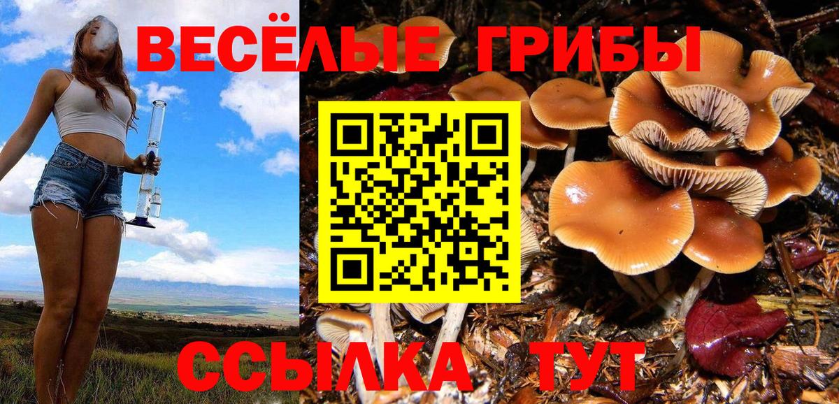 дарнет шоп  Вход с VPN  Баксан  Псилоцибиновые грибы ЛСД 