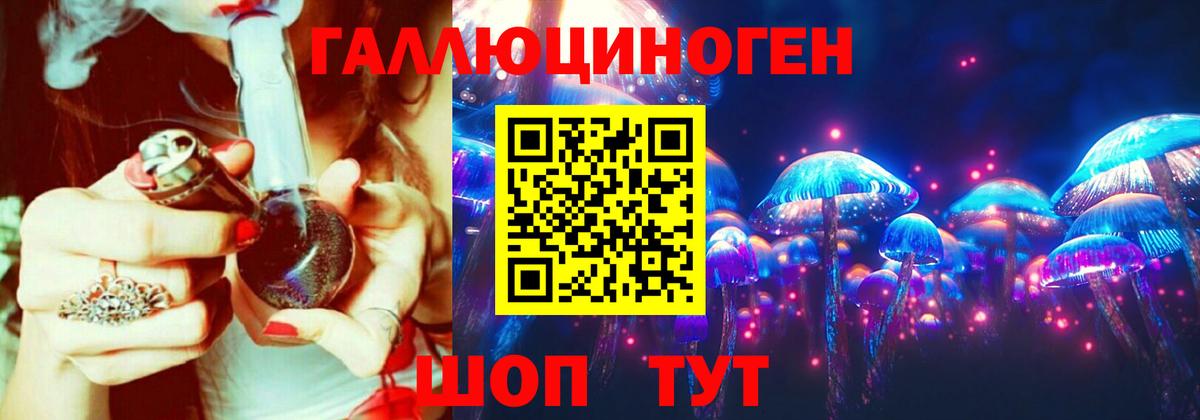 Псилоцибиновые грибы Psilocybine cubensis Баксан